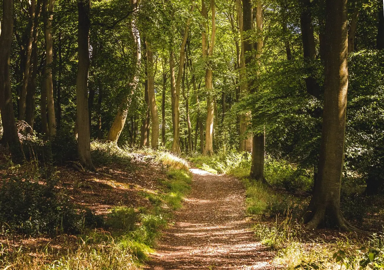 Naturpark Frankenhöhe